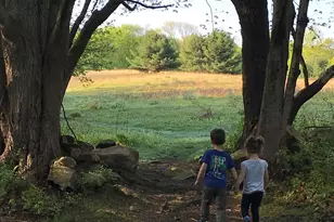 415 Sarles St, Mount Kisco, NY 10549 - Photo 42