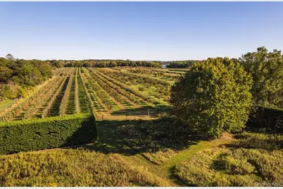 29500 Main Road, Cutchogue, NY 11935 - Photo 46