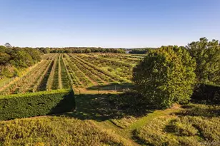 29500 Main Rd, Cutchogue, NY 11935 - Photo 46