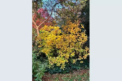 5 Shawmont Lane, Stony Brook, NY 11790 - Photo 32