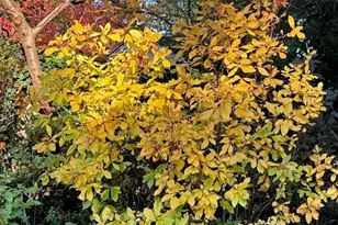 5 Shawmont Ln, Stony Brook, NY 11790 - Photo 32