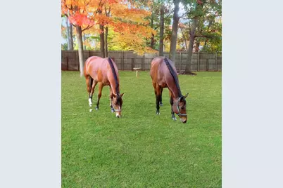 14 Hillside Avenue, Saint James, NY 11780 - Photo 36