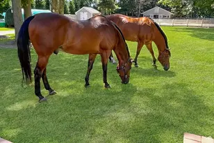 14 Hillside Ave, Saint James, NY 11780 - Photo 32