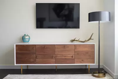 1 Third #921, Mineola, NY 11501 - Photo 10