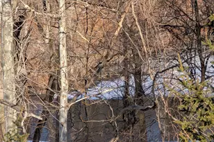 88 Brookview Ln, Newburgh, NY 12550 - Photo 28