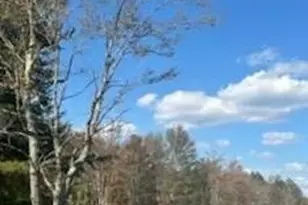 10 Dorm Dr, Fallsburg, NY 12747 - Photo 6