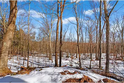 208 Ressique Road, Stormville, NY 12582 - Photo 32