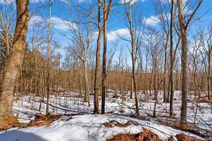 208 Ressique Rd, Stormville, NY 12582 - Photo 32