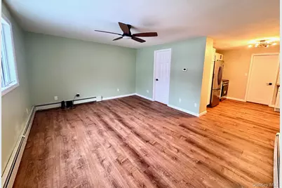 121 Main St, Livingston Manor, NY 12758 - Photo 6