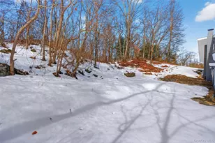 74 Roosevelt Rd, Hyde Park, NY 12538 - Photo 28