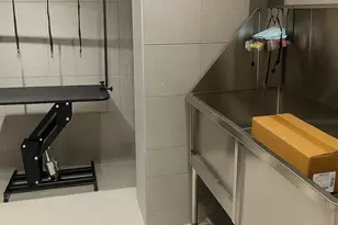 91 Bruckner Blvd, Bronx, NY 10454 - Photo 10