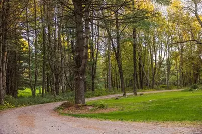 55 Chapin Trail, Bethel, NY 12720 - Photo 38