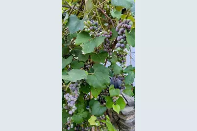 30 Highland Place, Great Neck, NY 11020 - Photo 32