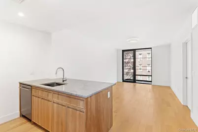 264 Webster Avenue #408, Brooklyn, NY 11230 - Photo 2