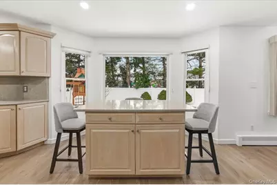 1662 Park Avenue, New Hyde Park, NY 11040 - Photo 12