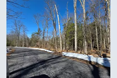 Gregory Road, Monticello, NY 12701 - Photo 2