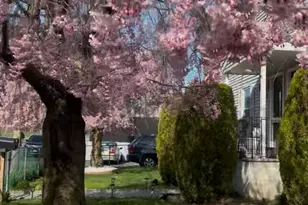 7 White Plains Ave, Elmsford, NY 10523 - Photo 2