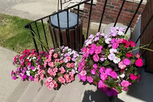 68-37 138th St, Flushing, NY 11367 - Photo 2