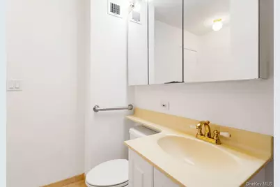 420 E 64th Street #W8F, New York, NY 10065 - Photo 6