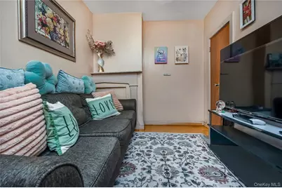 442 Lafayette Avenue, Brooklyn, NY 11238 - Photo 10