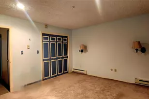 7 Cedar Park, Monticello, NY 12701 - Photo 22