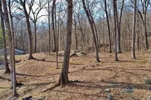 517A Old Chappaqua Rd, Briarcliff Manor, NY 10510 - Photo 18