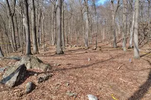 517A Old Chappaqua Rd, Briarcliff Manor, NY 10510 - Photo 10