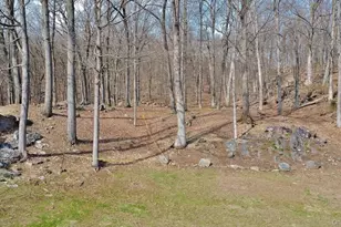 517A Old Chappaqua Rd, Briarcliff Manor, NY 10510 - Photo 8