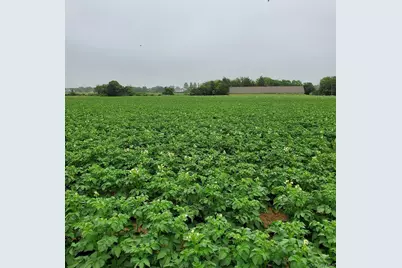 794 Head Of Pond (Lot #5) Road, Water Mill, NY 11976 - Photo 8