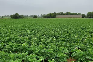 794 Head of Pond Rd Lot 5, Water Mill, NY 11976 - Photo 8