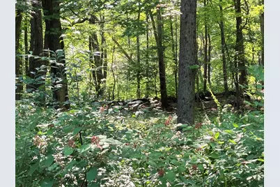 15 Adam Wagner Lane, Mahopac, NY 10541 - Photo 12