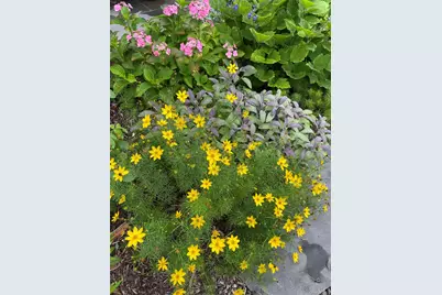 33 Fulmar Road, Mahopac, NY 10541 - Photo 36