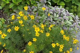 33 Fulmar Rd, Mahopac, NY 10541 - Photo 36