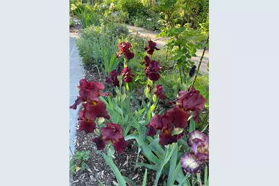 33 Fulmar Road, Mahopac, NY 10541 - Photo 34