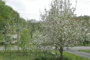 876 N Branch Hortonville Rd, North Branch, NY 12745 - Photo 22