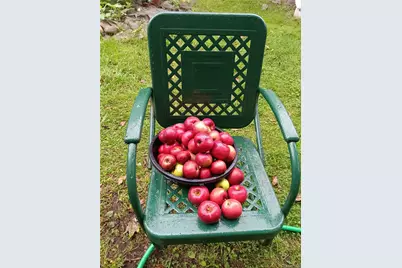 876 N Branch Hortonville Road, North Branch, NY 12745 - Photo 26