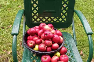 876 N Branch Hortonville Rd, North Branch, NY 12745 - Photo 26