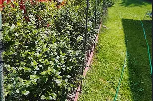 876 N Branch Hortonville Rd, North Branch, NY 12745 - Photo 24