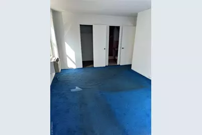 3215 H Avenue #3p, Brooklyn, NY 11210 - Photo 28