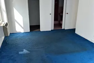 3215 H Ave, Brooklyn, NY 11210 - Photo 28