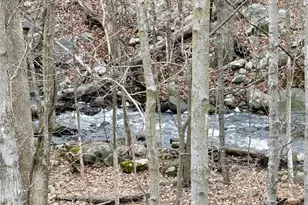 11 Barnett Dr, Monroe, NY 10950 - Photo 26