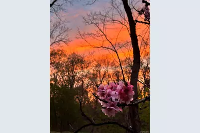 734 King Street, Chappaqua, NY 10514 - Photo 38