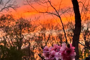 734 King St, Chappaqua, NY 10514 - Photo 38