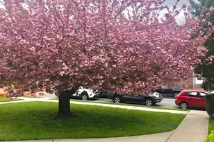 36-44 172nd St, Flushing, NY 11358 - Photo 18