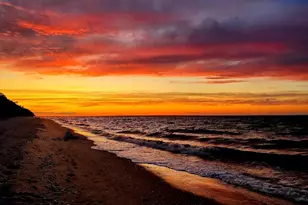 50 Violet Rd, Rocky Point, NY 11778 - Photo 42