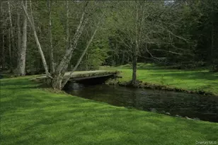 698 Cooley Rd, Parksville, NY 12768 - Photo 2