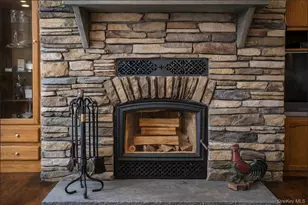 698 Cooley Rd, Parksville, NY 12768 - Photo 12