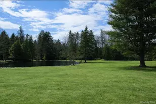 698 Cooley Rd, Parksville, NY 12768 - Photo 4