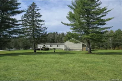 698 Cooley Road, Parksville, NY 12768 - Photo 4