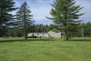 698 Cooley Rd, Parksville, NY 12768 - Photo 4